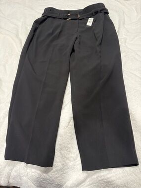 Express Ankle High Rise Black Pants - Sleek Ankle Length